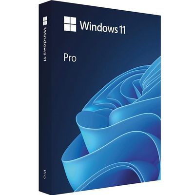 Win11 Pro USB Ritel Versi Microsoft OEM Software Penggunaan Untuk Aktipasi Sistem Baru Online