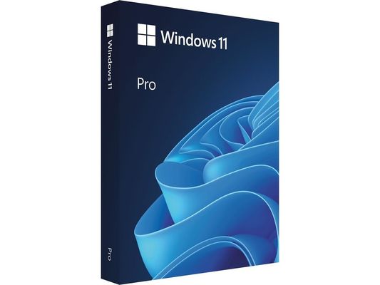 Windows 11 Pro OEM 64-bit OS kelas profesional - Secure Boot & TPM 2.0 diaktifkan