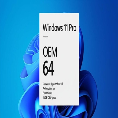 Windows 11 Pro OEM X86 64 Jenis Prosesor dan Arsitektur 64-bit untuk Profesional Ruang Disk 16 GB