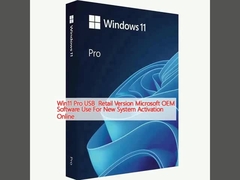 Win11 Pro USB Ritel Versi Microsoft OEM Software Penggunaan Untuk Aktipasi Sistem Baru Online