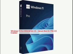 Windows 11 Pro OEM OS 64-bit - Secure Boot & TPM 2.0 diaktifkan